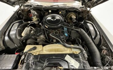 Buick-Electra-225-1975-Silver-Mist-Burgundy-42