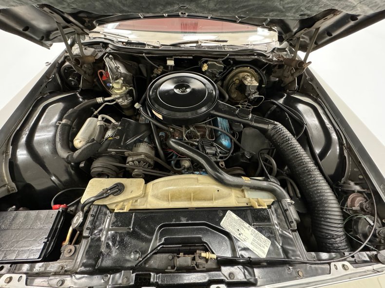 Buick-Electra-225-1975-Silver-Mist-Burgundy-42