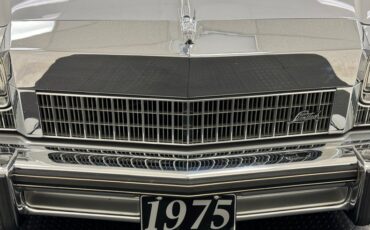 Buick-Electra-225-1975-Silver-Mist-Burgundy-7