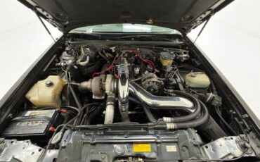 Buick-Regal-1987-Black-Gray-48