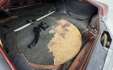 Buick-Riviera-1969-Copper-Mist-Black-17