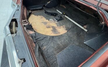 Buick-Riviera-1969-Copper-Mist-Black-19