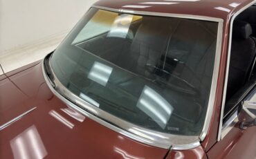 Buick-Riviera-1969-Copper-Mist-Black-41