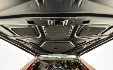 Buick-Riviera-1969-Copper-Mist-Black-45