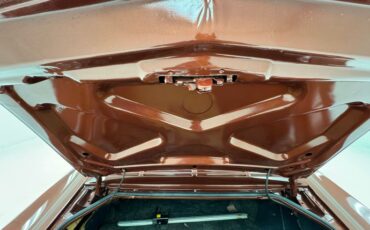 Buick-Riviera-1969-Copper-Mist-Black-47