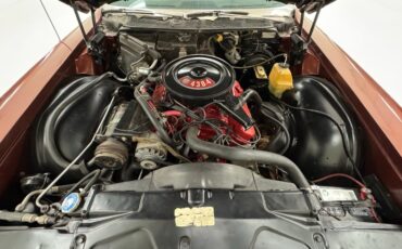 Buick-Riviera-1969-Copper-Mist-Black-6