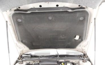 Buick-Riviera-1995-Platinum-Beige-Metal-Beige-19