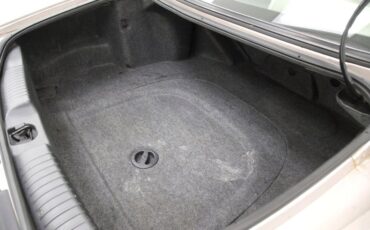 Buick-Riviera-1995-Platinum-Beige-Metal-Beige-37