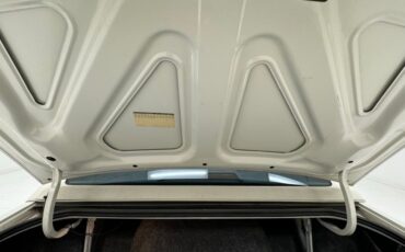 Buick-Roadmaster-1993-Summit-White-Dark-Blue-25