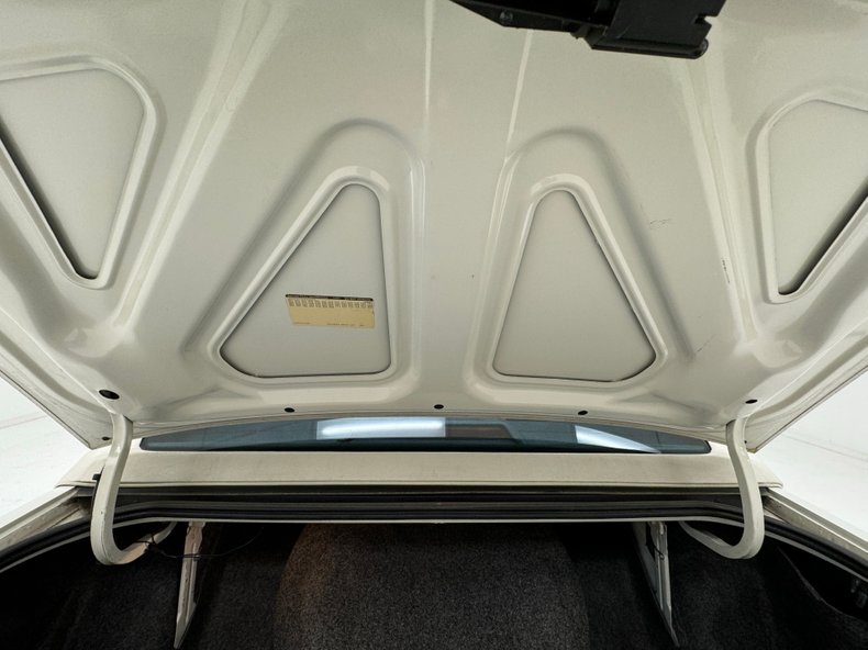 Buick-Roadmaster-1993-Summit-White-Dark-Blue-25