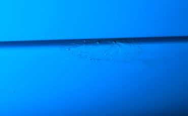 Buick-Series-40-1955-Dover-White-Gray-32