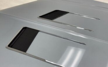 Buick-Skylark-1966-Silver-Mist-Black-22