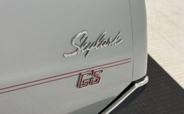 Buick-Skylark-1966-Silver-Mist-Black-28