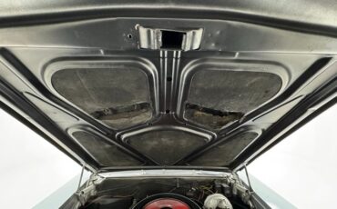 Buick-Skylark-1966-Silver-Mist-Black-31