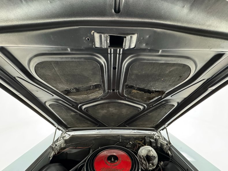 Buick-Skylark-1966-Silver-Mist-Black-31