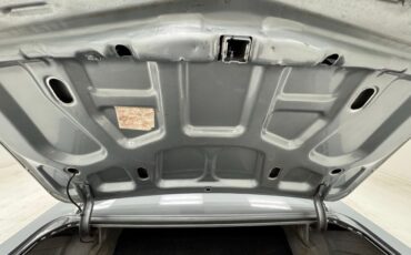 Buick-Skylark-1966-Silver-Mist-Black-35