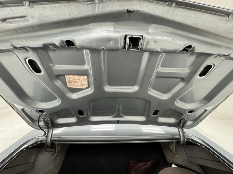 Buick-Skylark-1966-Silver-Mist-Black-35