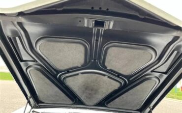 Buick-Skylark-1967-Arctic-white-Red-45