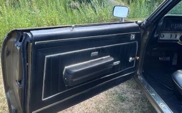 Buick-gs-400-1969-brown-12