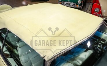 Cadillac-Eldorado-1976-27