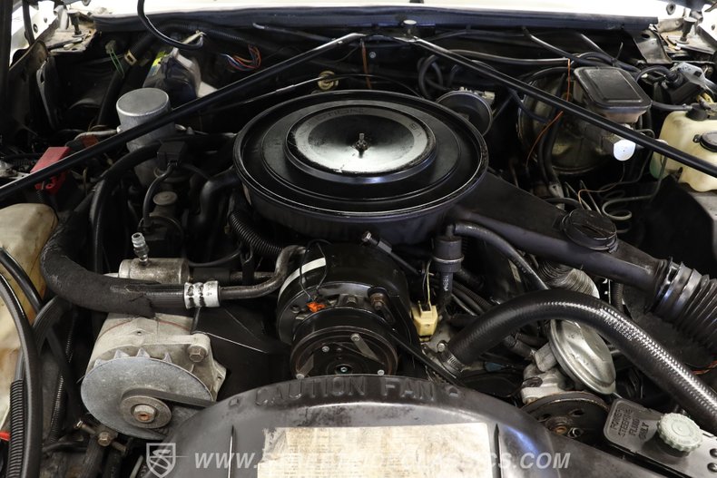 Cadillac-Eldorado-1984-White-Dark-Carmine-Red-1