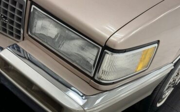 Cadillac-Fleetwood-1990-Antelope-Firemist-Antelope-11