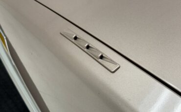 Cadillac-Fleetwood-1990-Antelope-Firemist-Antelope-12