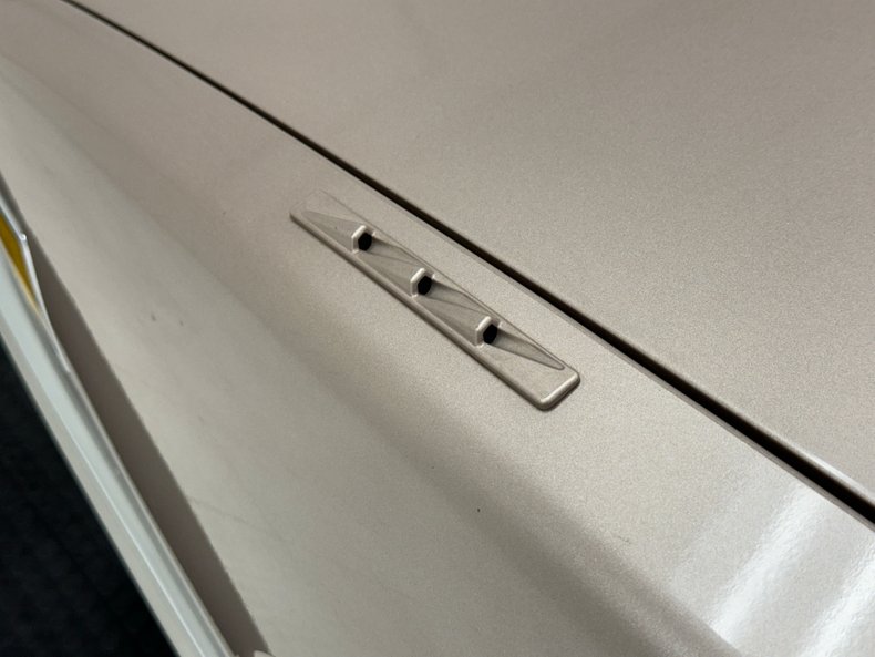 Cadillac-Fleetwood-1990-Antelope-Firemist-Antelope-12