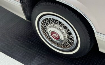 Cadillac-Fleetwood-1990-Antelope-Firemist-Antelope-13