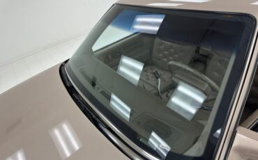 Cadillac-Fleetwood-1990-Antelope-Firemist-Antelope-14