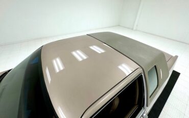 Cadillac-Fleetwood-1990-Antelope-Firemist-Antelope-15