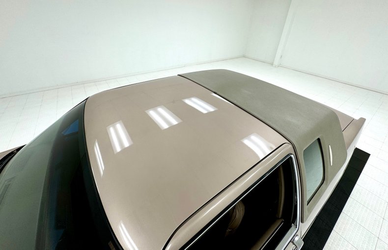 Cadillac-Fleetwood-1990-Antelope-Firemist-Antelope-15