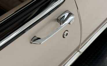 Cadillac-Fleetwood-1990-Antelope-Firemist-Antelope-16