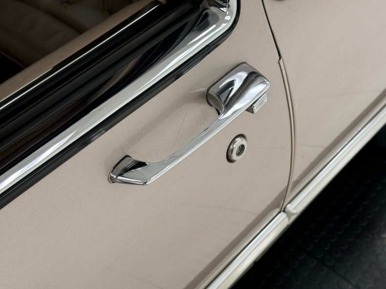 Cadillac-Fleetwood-1990-Antelope-Firemist-Antelope-16