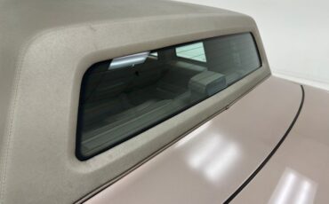 Cadillac-Fleetwood-1990-Antelope-Firemist-Antelope-17