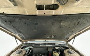 Cadillac-Fleetwood-1990-Antelope-Firemist-Antelope-19