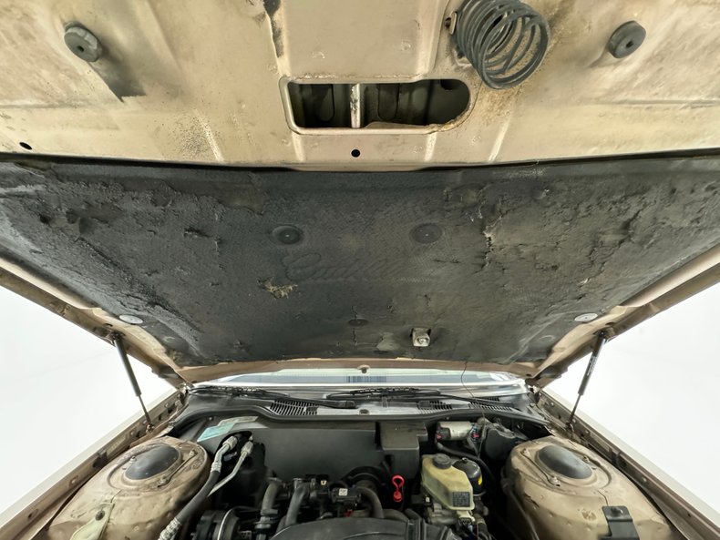 Cadillac-Fleetwood-1990-Antelope-Firemist-Antelope-19