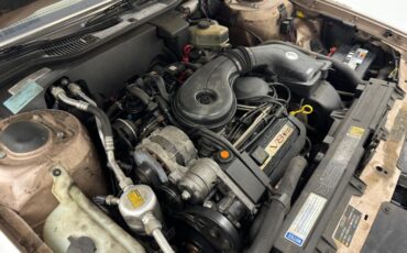 Cadillac-Fleetwood-1990-Antelope-Firemist-Antelope-20