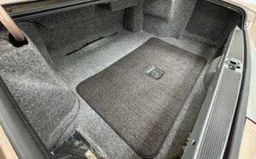 Cadillac-Fleetwood-1990-Antelope-Firemist-Antelope-22