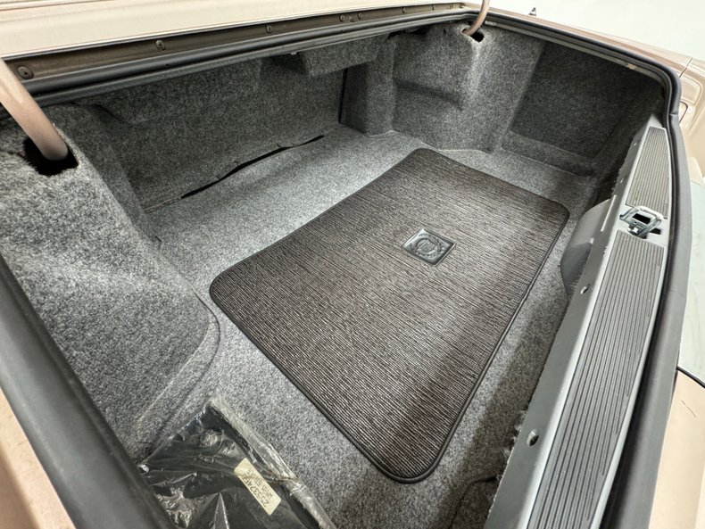 Cadillac-Fleetwood-1990-Antelope-Firemist-Antelope-22