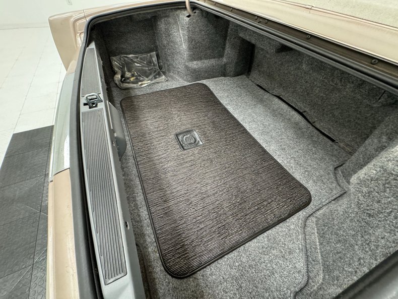 Cadillac-Fleetwood-1990-Antelope-Firemist-Antelope-24