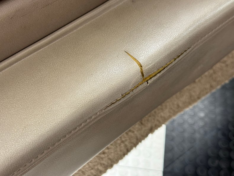 Cadillac-Fleetwood-1990-Antelope-Firemist-Antelope-27