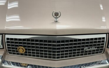 Cadillac-Fleetwood-1990-Antelope-Firemist-Antelope-9