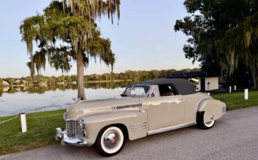 Cadillac-Series-62-1941-Tan-Dark-Gray-17