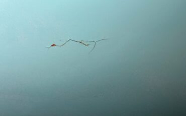 Chevrolet-210-1957-Surf-Green-Green-19