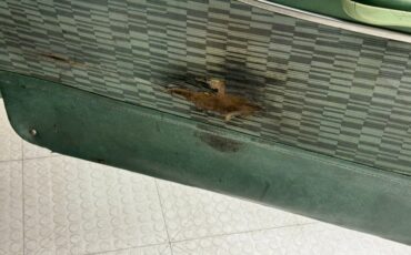 Chevrolet-210-1957-Surf-Green-Green-39