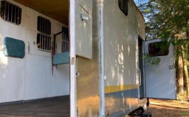 Chevrolet-3510-truck-1989-white-4