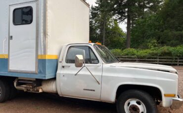 Chevrolet-3510-truck-1989-white-6