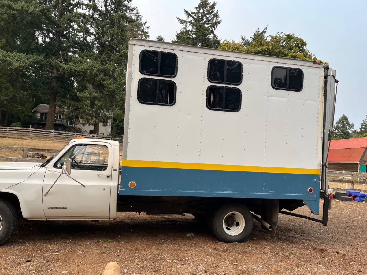 Chevrolet-3510-truck-1989-white-7