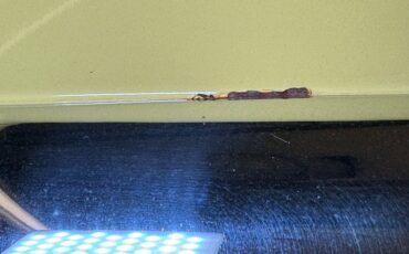 Chevrolet-Bel-air-1957-Yellow-Black-20